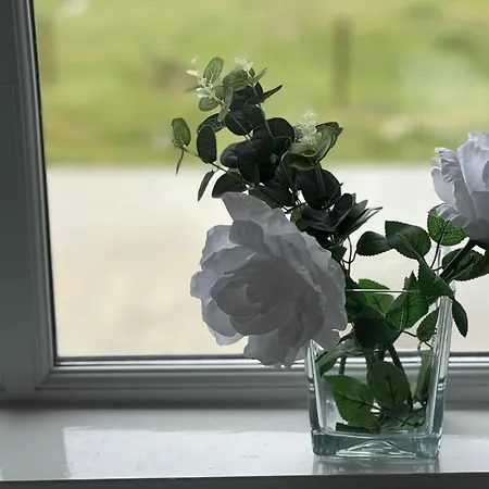 Island Rent Semesterbostad Cruit