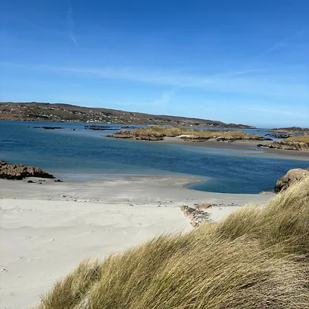 Island Rent Cruit